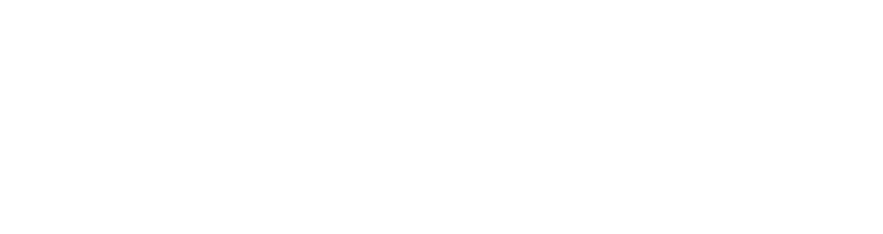interNeo-Logo_weiss (003)